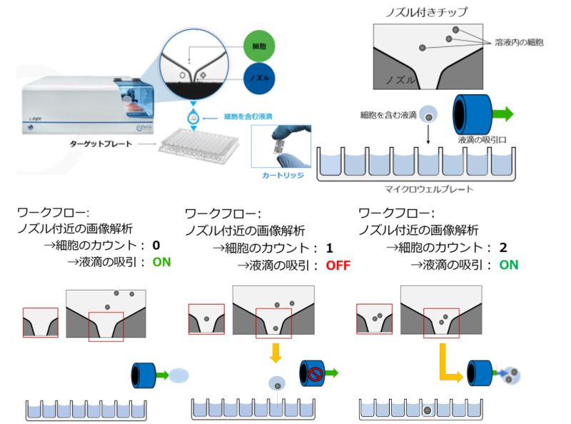 シングルセル分注装置 x.sight | セルバイオロジー | バイオサイエンス