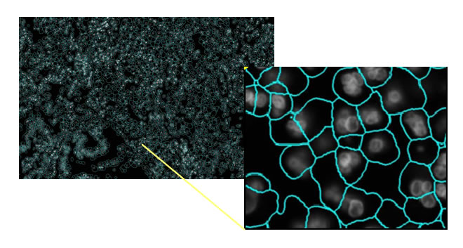 CosMx Spatial Molecular Imager | ゲノミクス | バイオ