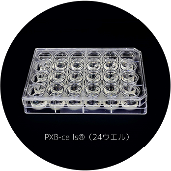 PXBマウス・PXB細胞 | 受託サービス | バイオサイエンス