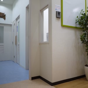 明るい待合室の小川医院