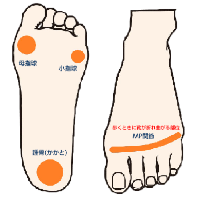 足の各名称