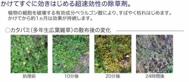 液体タイプ除草剤と粒剤タイプ除草剤の違いをお分かりですか。 - AXELショップ