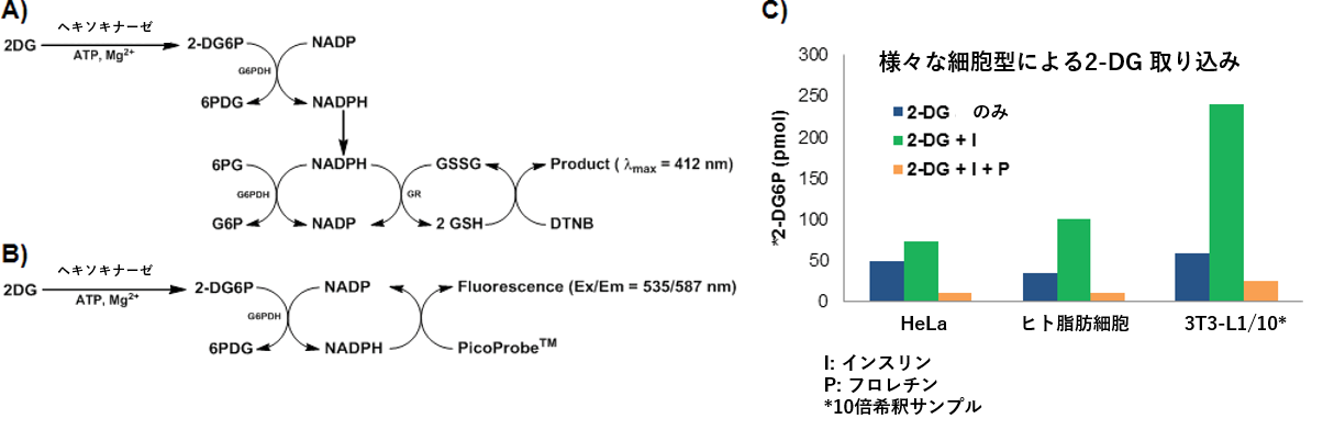 Biovision Metabolism Axelショップ