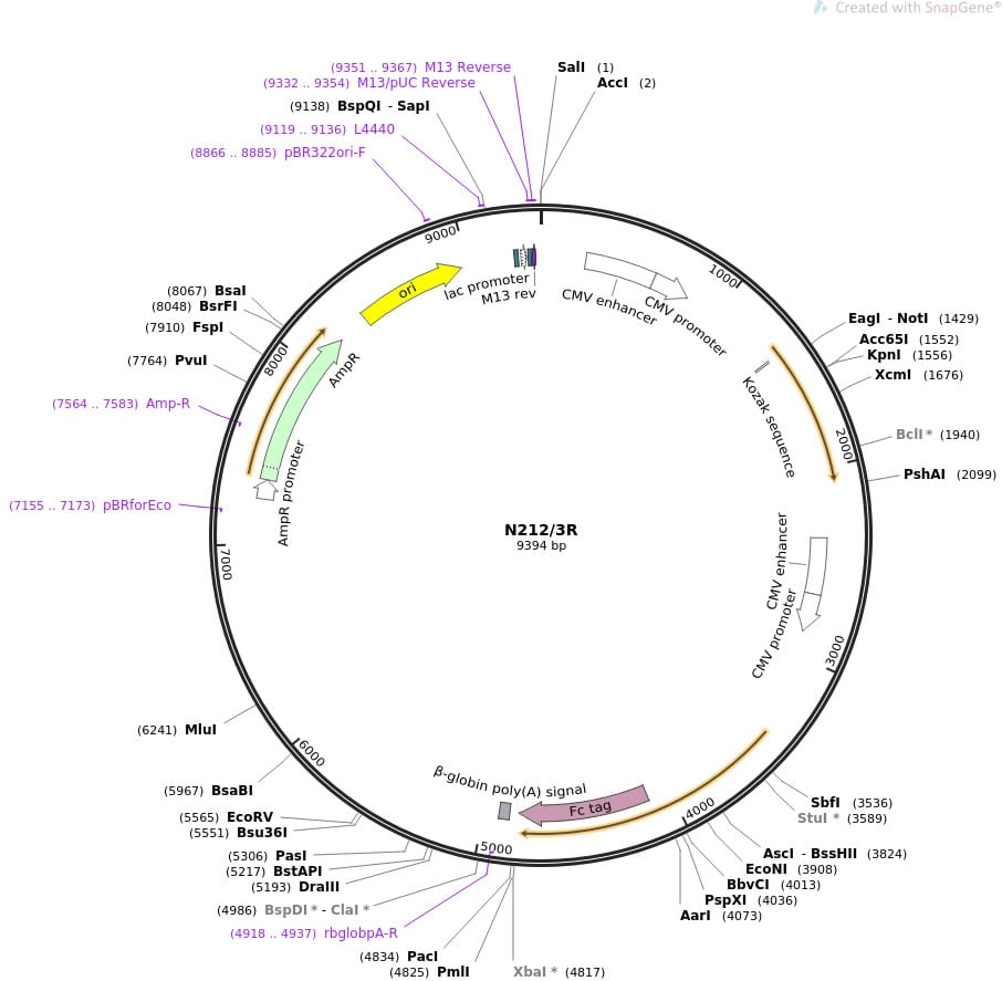 Antibodies Incorporated社と同社の技術・製品 研究試薬はアズワン！ 【AXEL】アズワン