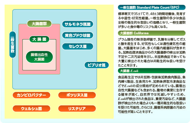 衛生指標菌と食中毒菌の関係