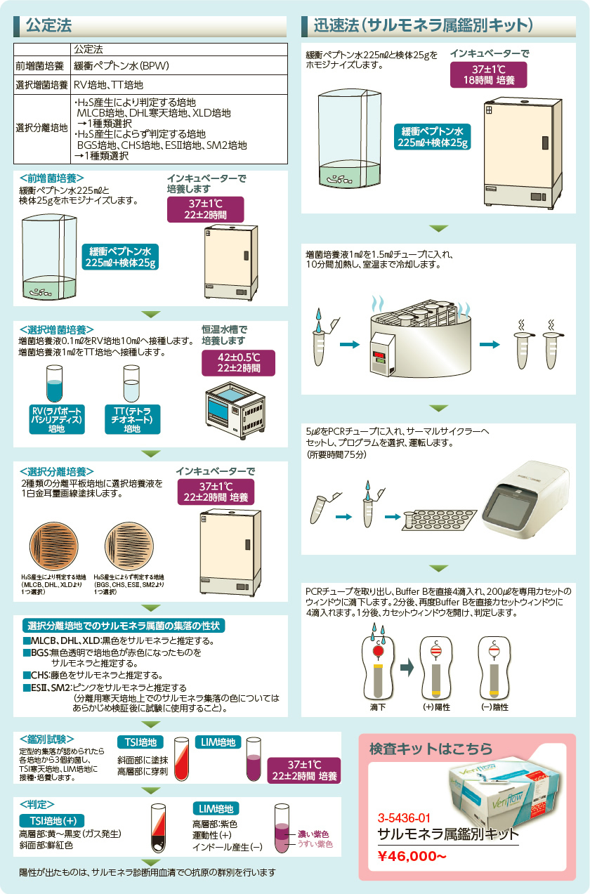 食品微生物検査の手順(サルモネラ属菌)
