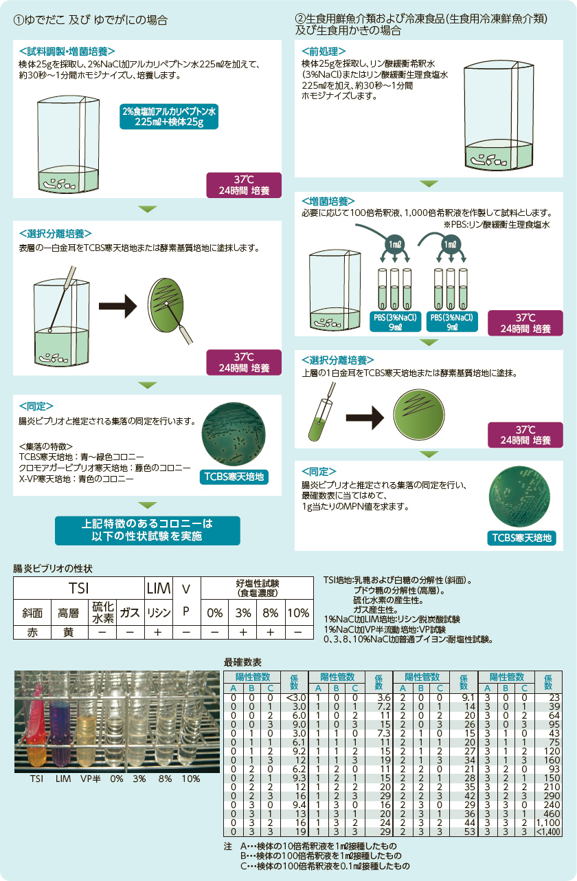 食品微生物検査の手順(腸炎ビブリオ)