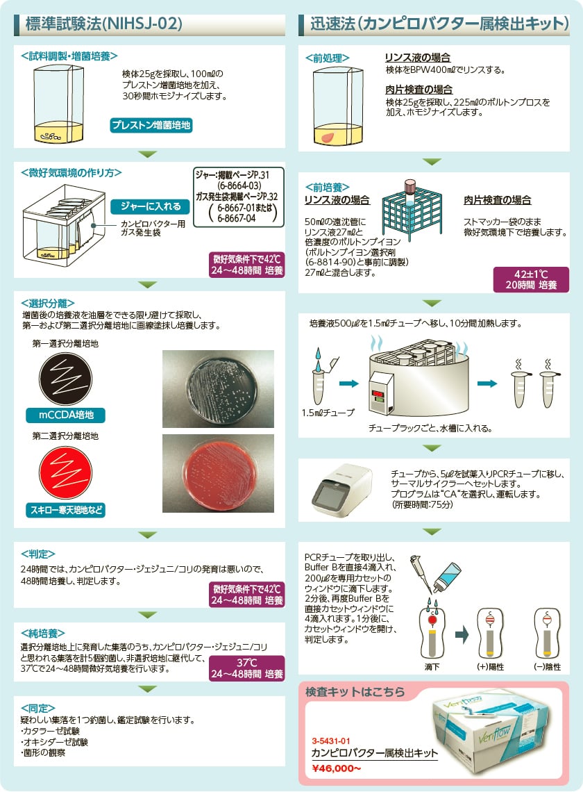 食品微生物検査の手順(カンピロバクター)