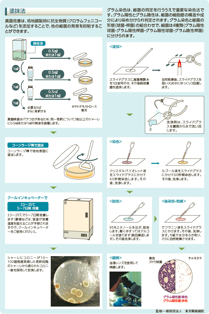 食品微生物検査の手順(真菌/グラム染色)